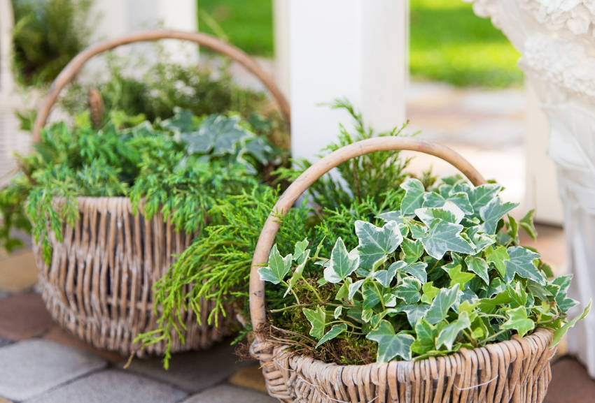 Wicker Basket